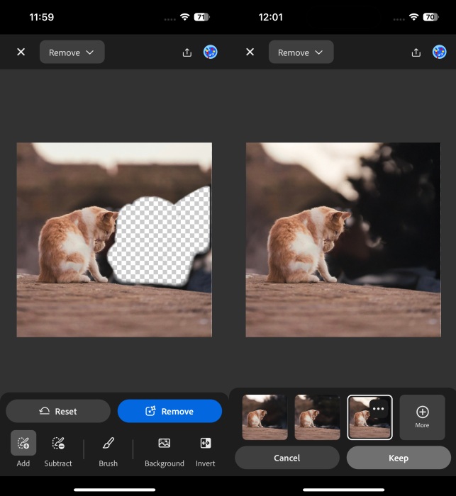 Editing out object with Firefly app on iPhone. 