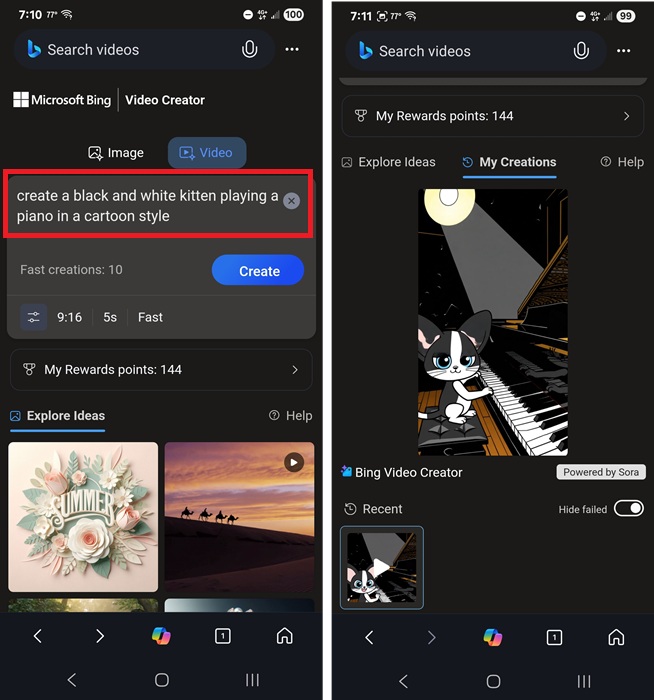 Example video of a black and white kitten playing piano.