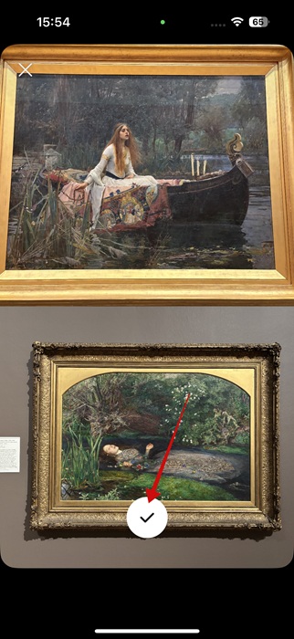 Collage created in Instagram app.