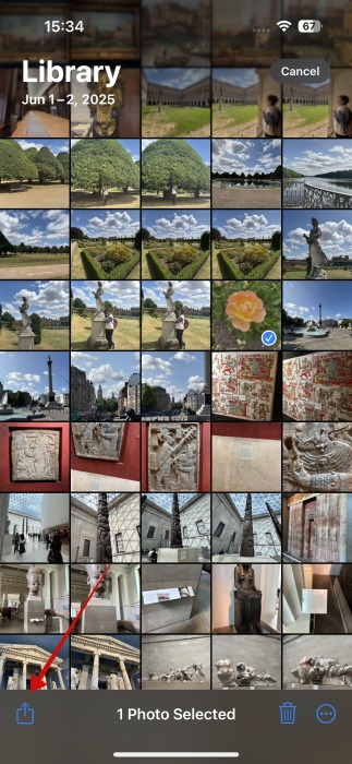 Pressing Share button for selected image in Photos app on iPhone.