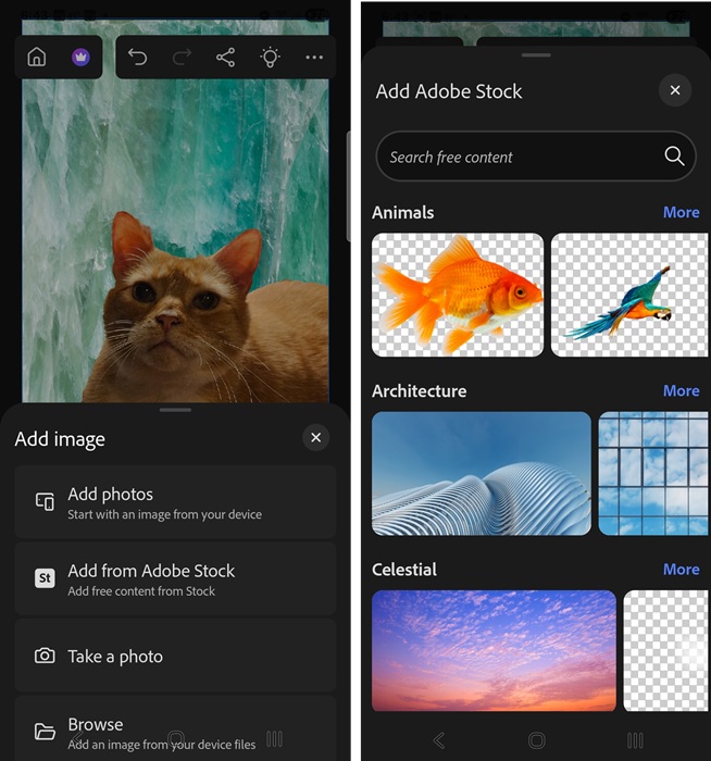 Adding a layer background to a photo in Photoshop.