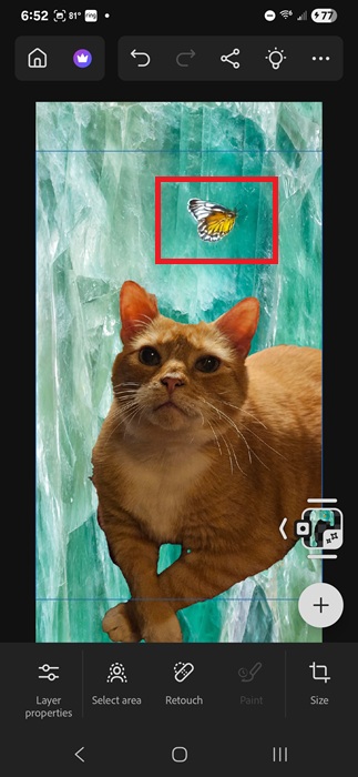 Butterfly added to photo.