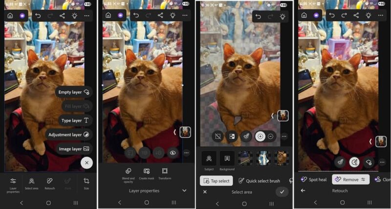 Cat photo in the Photoshop for Android editing window.