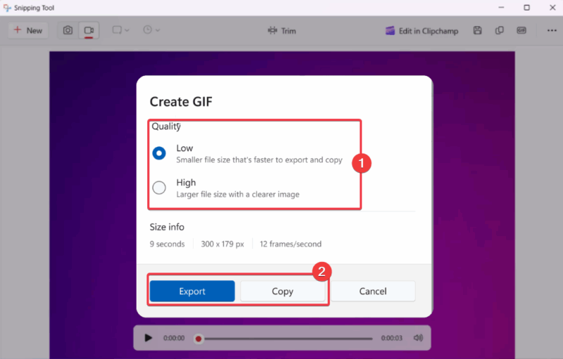 Select Gif Quality And Export To Save