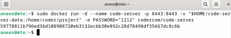 Start Code Server Container