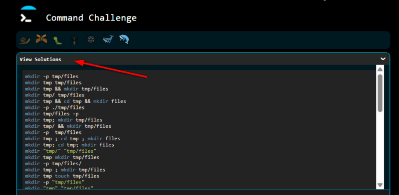 Checking Solutions In Cmd Challenge Game