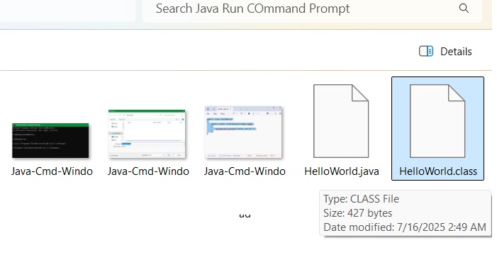 The .CLASS extension of a Java program that was compiled in a folder.