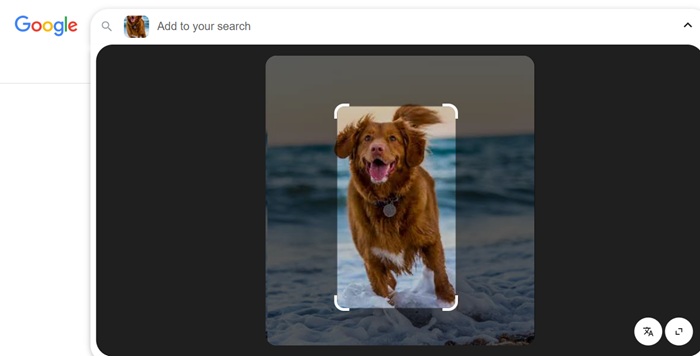 Instant results added to a Google Lens image search using Snipping lens.