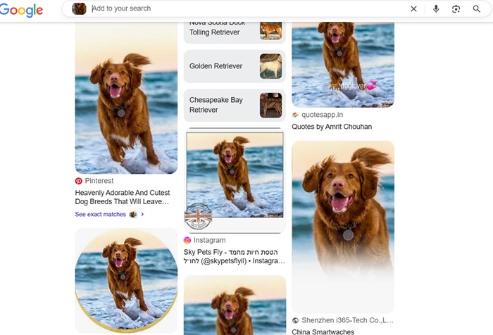 Image lookup of source image gathered through screenshot tool in Windows.