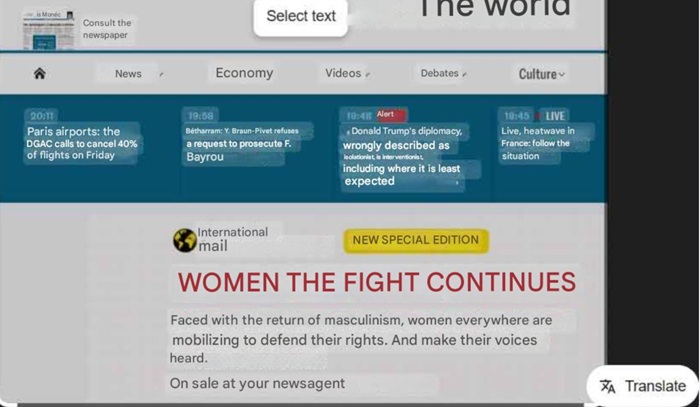Translation done for a webpage using Google Lens.