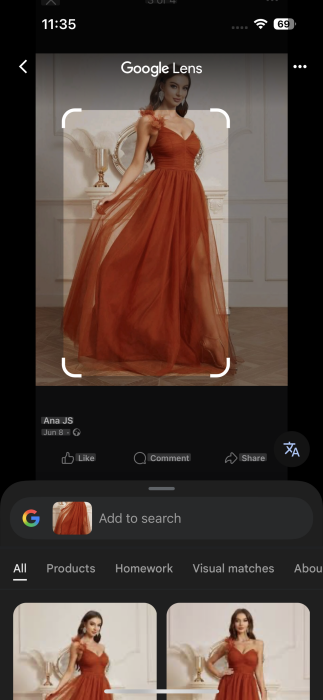 Adjusting the part of the image you wish to search with Lens on iPhone.