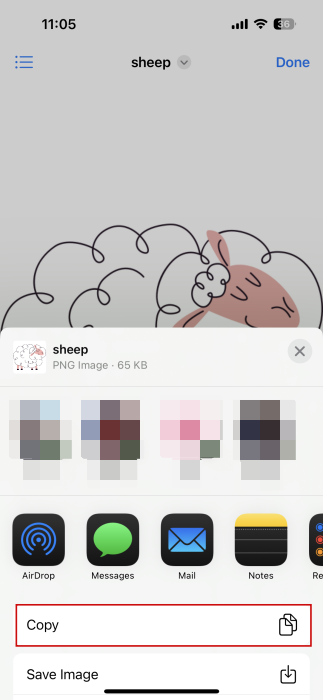 Tapping "Copy" on downloaded photo on iPhone.