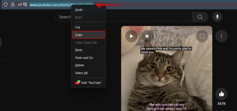 Copying link to YouTube Short on PC.
