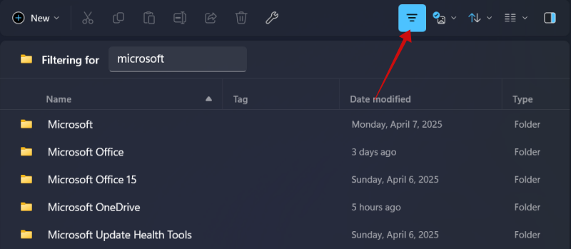 Using filters to find files or folder in Files app on Windows PC.