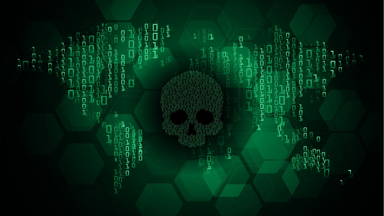 skull image with binary code around it