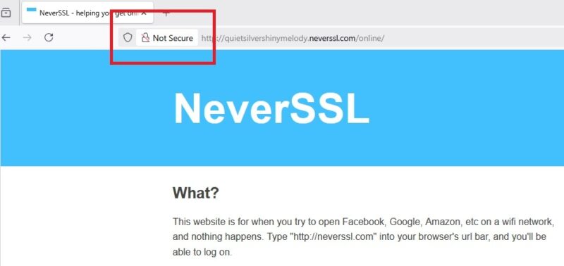 Firefox's warning about not secure sites.