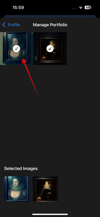 Adding images to Portfolio in Flashes app. 