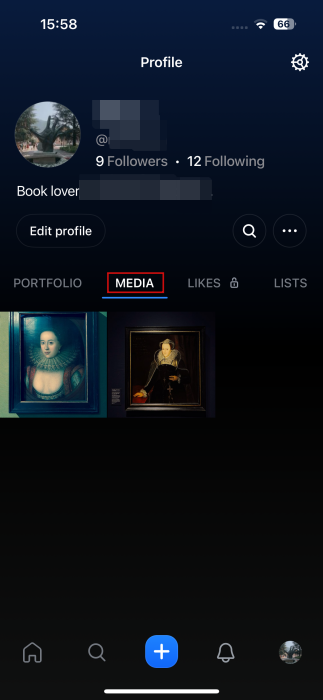Viewing "Media" tab in Flashes app. 