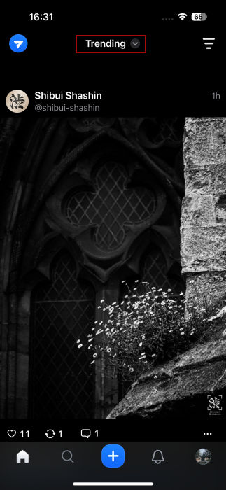 Browsing Trending feed in Flashes app. 