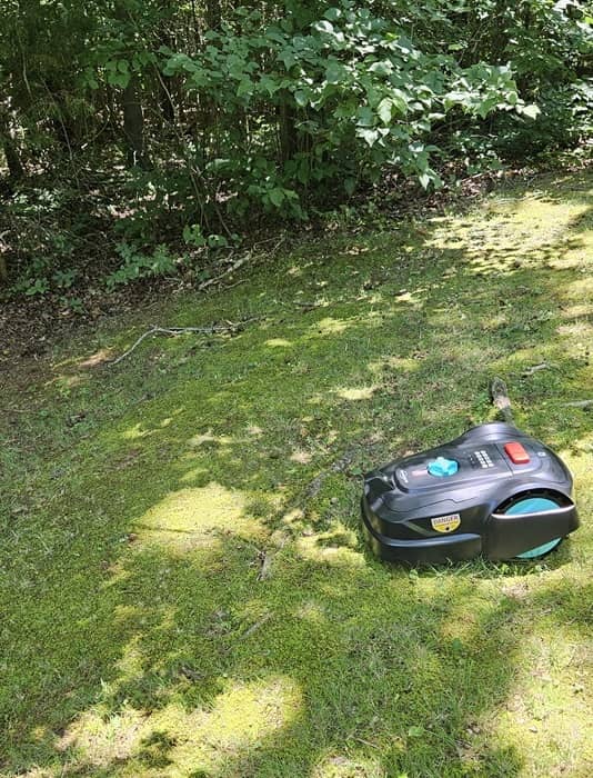 Mowing down a slope.