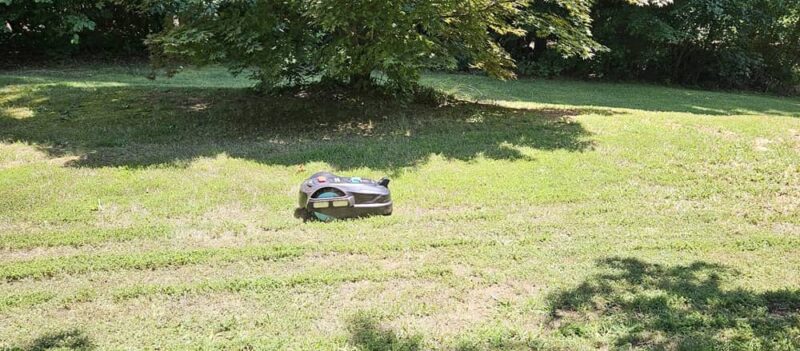 Mowing in orderly lines.