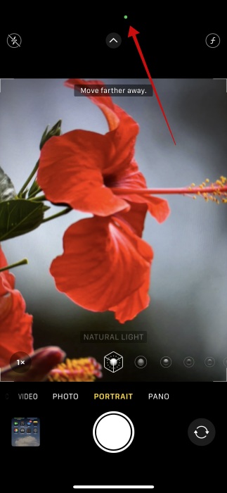 Green dot view in Dynamic Island when using camera on iPhone. 