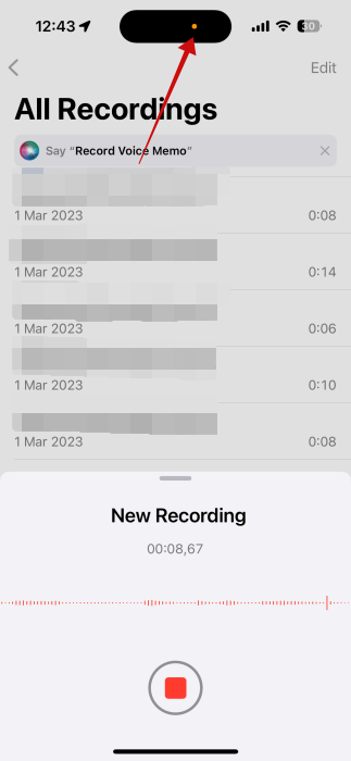 Orange dot view in Dynamic Island on iPhone. 
