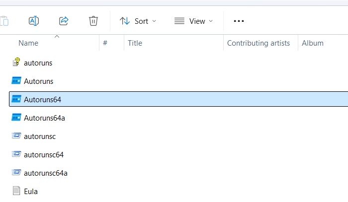 Running the Autoruns64 file from inside the zipped folder.