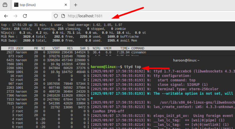 Opening Top Command Line Tool Output On Webpage