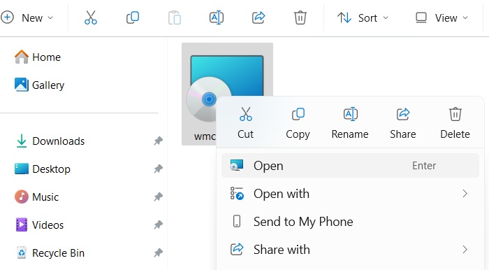 Windows Media Center with MSI Installer for opening.
