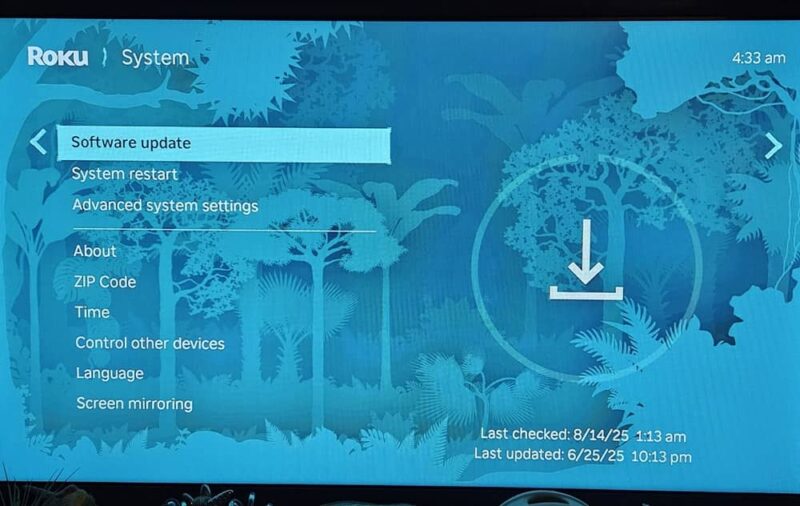 Perform a software update on Roku.