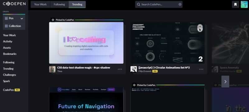 Browsing CodePen's trending code snippets.
