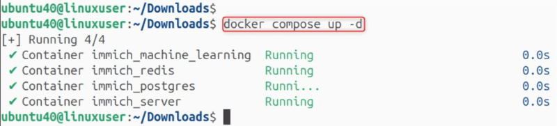 Docker Compose Up