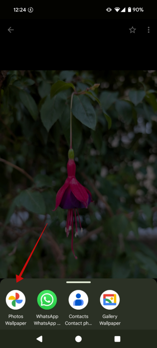 Selecting to use image as Photos Wallpaper in Gallery app on Android. 