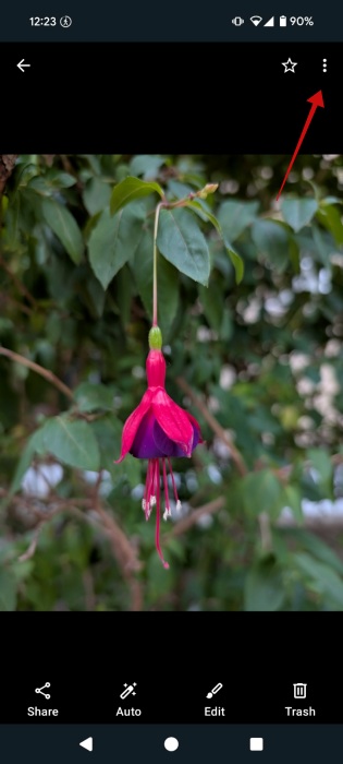 Tapping three dots icon in Gallery app on Android. 