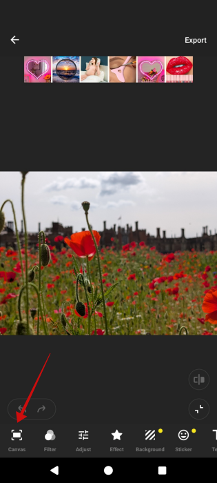 Tapping "Canvas" in InShot app. 