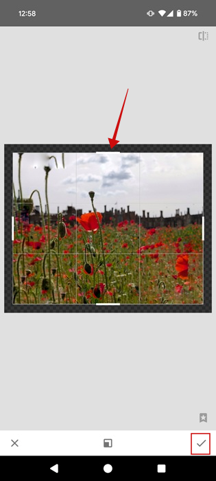 Expanding image vertically using Snapseed app. 