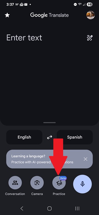 Starting a Google Translate practice session.