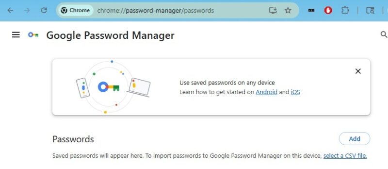 Viewing Google Password Manager in Chrome.