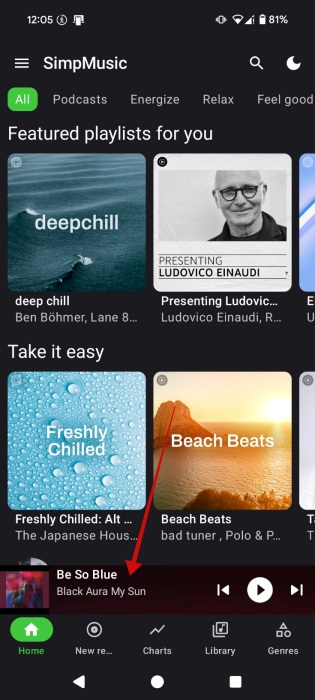 Now Playing bar view at the bottom of screen in SimpMusic app. 