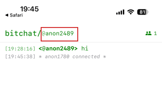 Use Bitchat Anon Nickname View