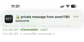 View of Notification for private message in BitChat on iOS.