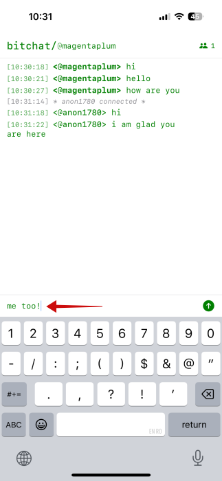 Sending message in group chat in BitChat on iOS. 