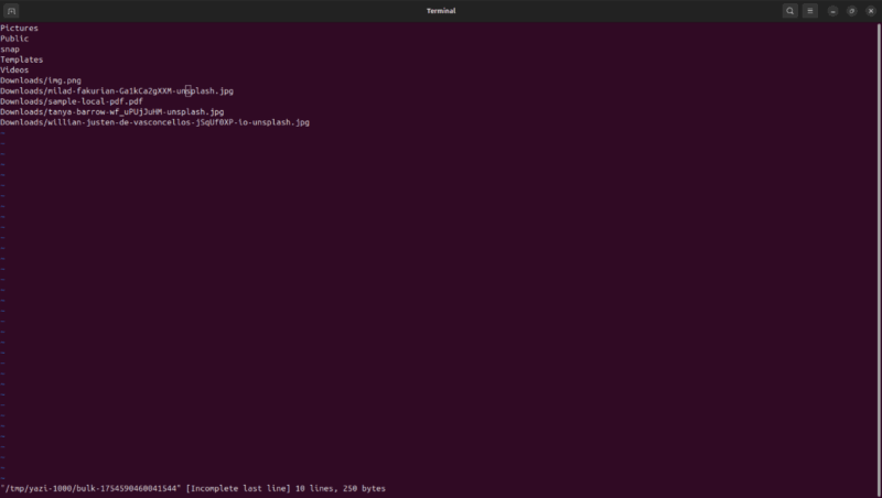 Screenshot showing Yazi Bulk Rename features
