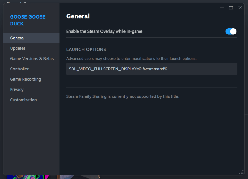 Launch Options On Steam