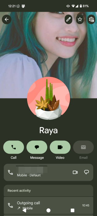 Contact page full view in Phone app by Google. 