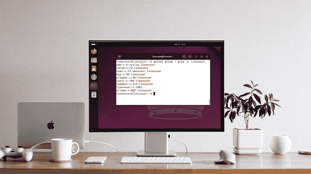 How to Check User Groups in Linux