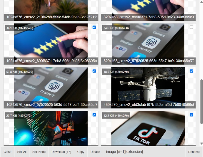 Downloading all files from a web page with Download All Images extension. 