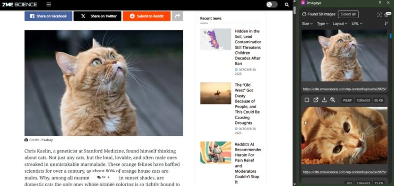 Viewing all images from a webpage with the Imageye extension for Chrome. 