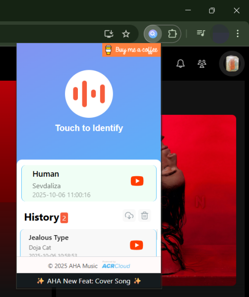 Aha Music extension identifying music in Chrome. 